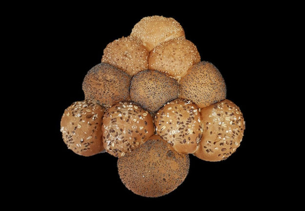 Afbeelding van Breekbrood.